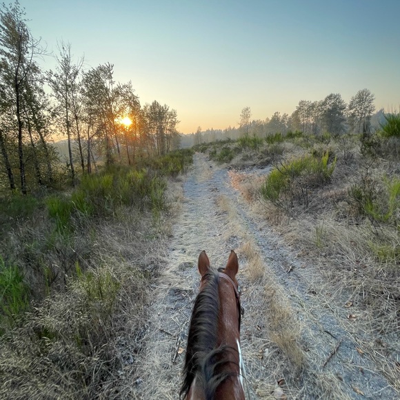 Meet your Posher, Lisa - Picture 3 of 4